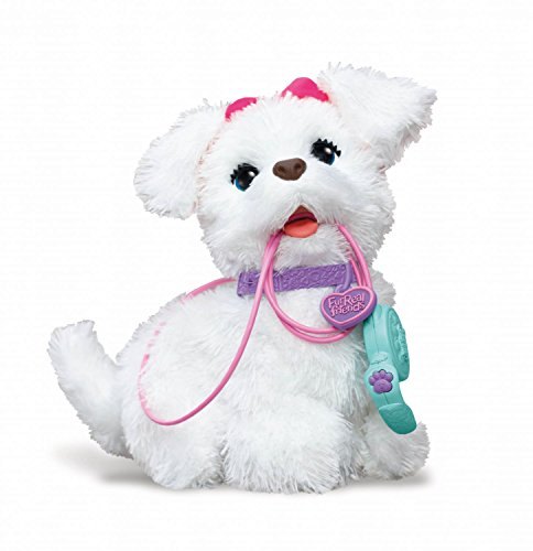 Get Up & GoGo My Walkin’ Pup