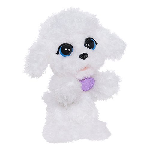 Playful Pets Poppy